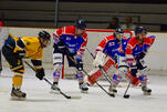 Mad Dogs stoppen die Eisbären
