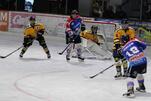 Fütterungszeit für die Eisbären