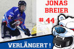 Auch Breier bleibt ein Eisbär
