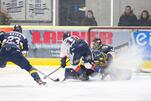 Eisbären schlagen Stuttgart Rebels