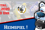 Eisbären im Dreier-Pack