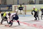 Eisbären schlagen sich wacker in Zweibrücken