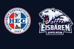 Eisbären-Duell Teil 2